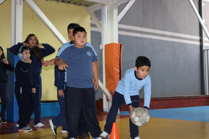 Día de la Actividad Física